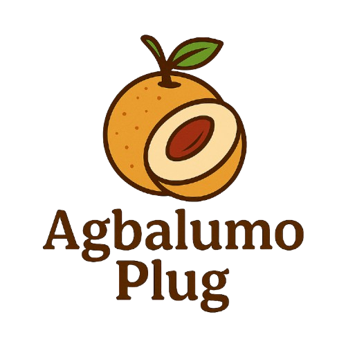 chatgpt image nov 7 2025 09 52 50 pm removebg preview